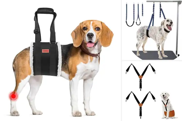 Detailed view of Best Adjustable Chest Belly Straps For Dogs