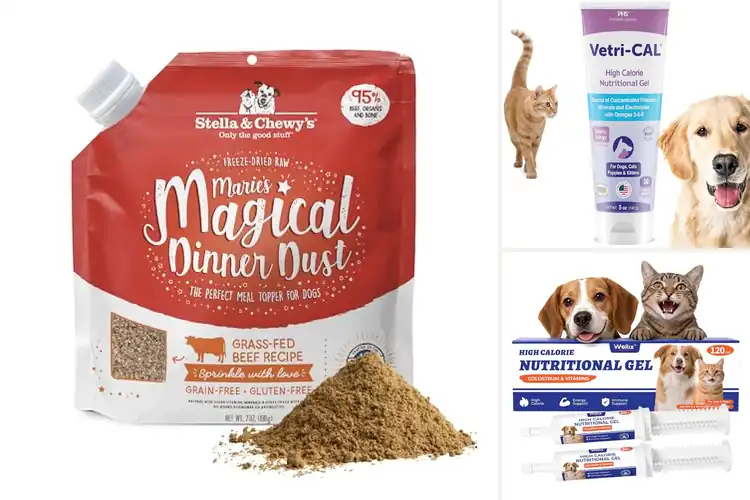 Detailed view of Best Appetite Stimulant Dog Foods