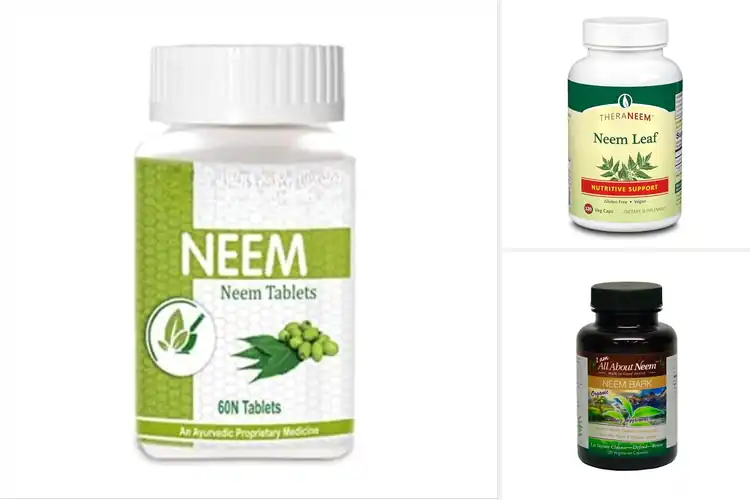 Detailed view of best Ayurvedic Neem Capsules For Whole Body Wellness