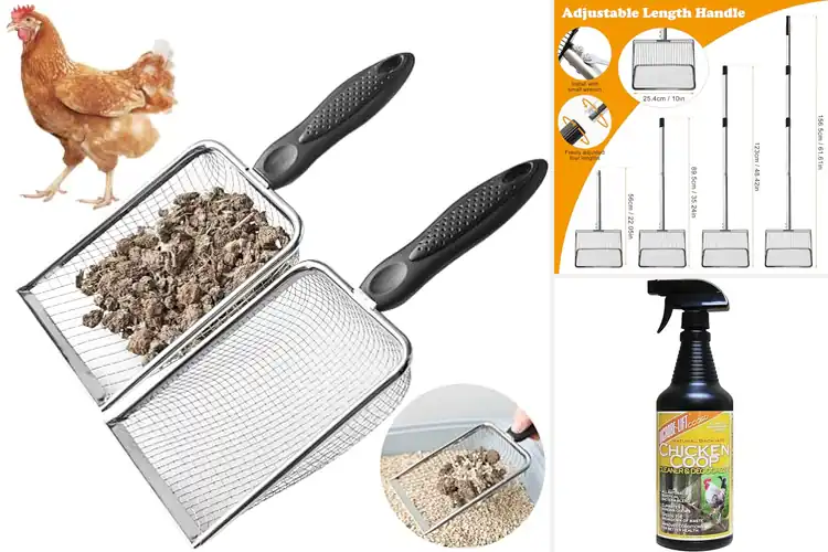 Detailed view of Best Chicken Coop Cleaning Tools