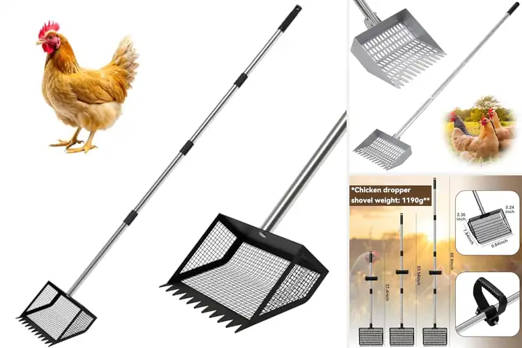 Detailed view of Best Chicken Poop Scoopers: Top 10 Tools for a Spotless Coop