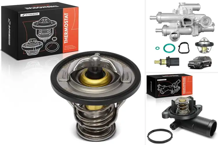 Detailed view of Best Engine Temperature Regulation Thermostat