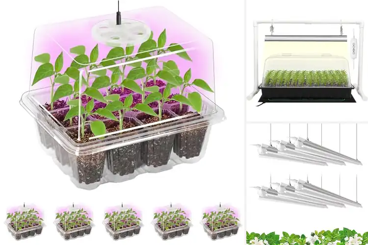 Detailed view of Best Grow Light Kits