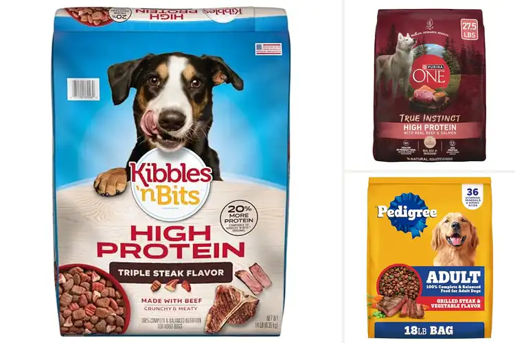 Detailed view of Best High Protein Dog Foods