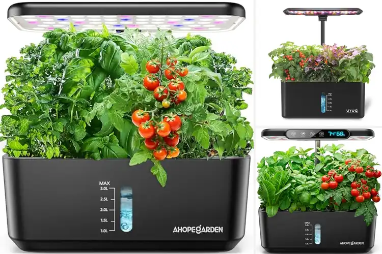 Detailed view of Best Indoor Grow Kits