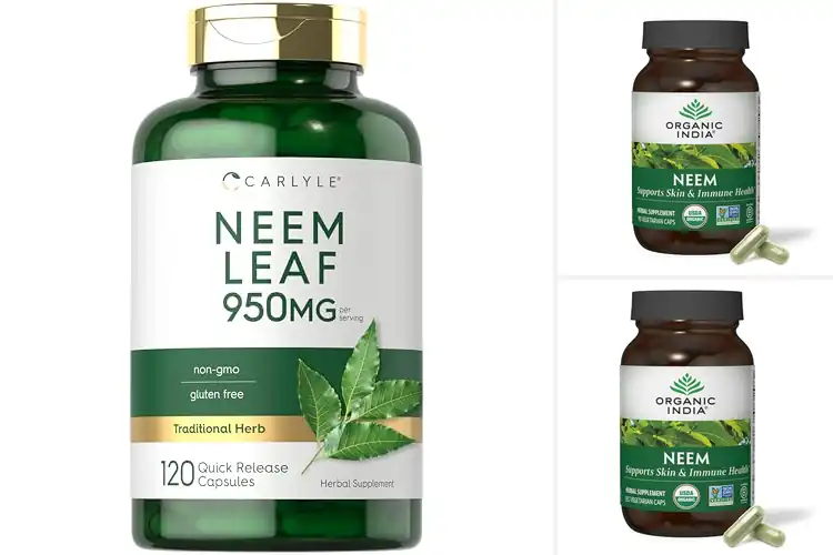 Detailed view of Best Lab Tested Neem Capsules