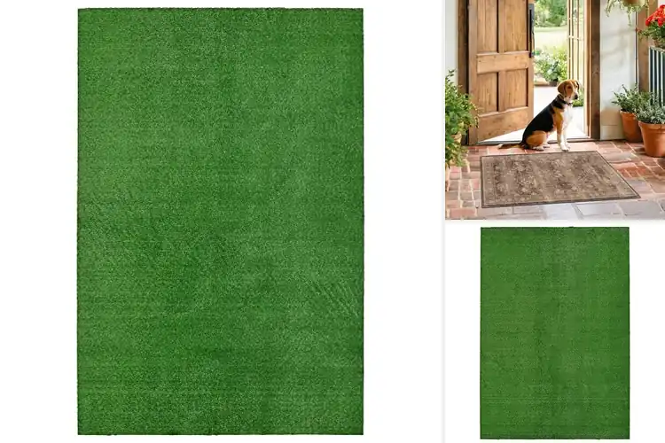 Detailed view of Best Low-Maintenance Rugs