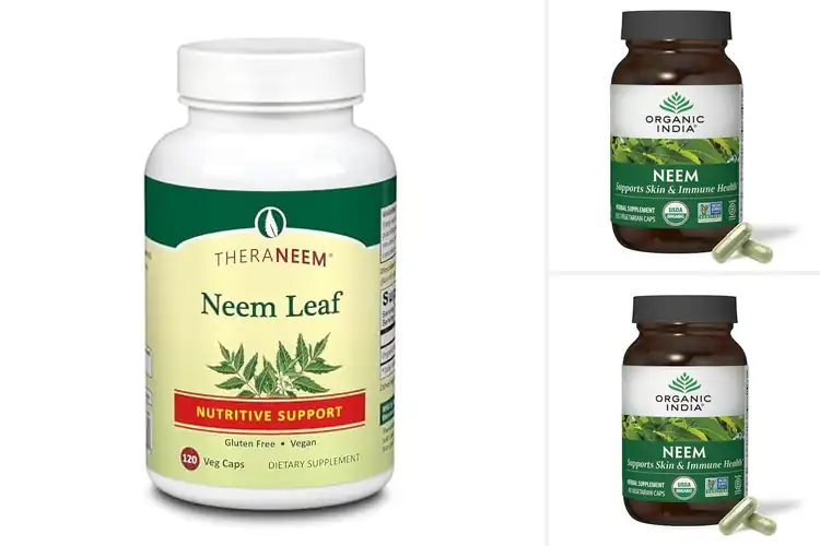 Detailed view of best Neem Capsules For Antioxidant Support