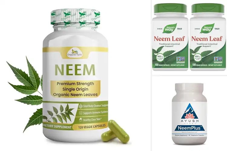 Detailed view of Best Neem Capsules For Gut Support