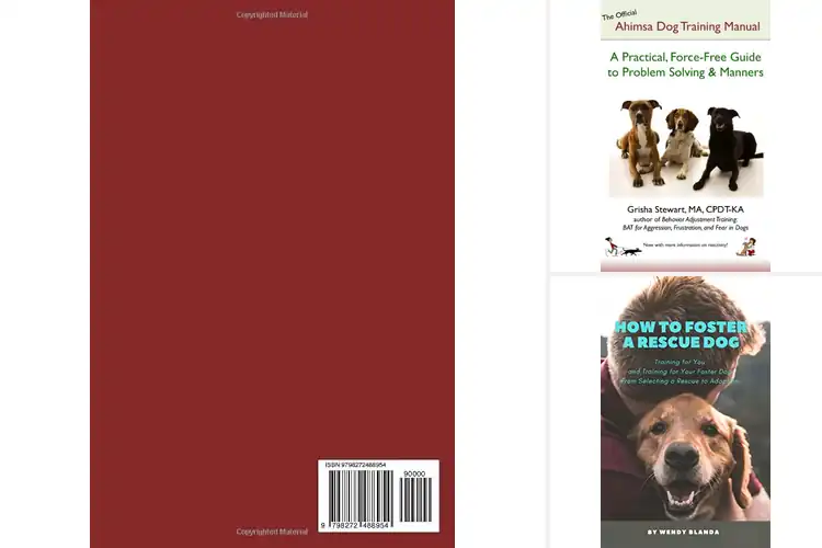 Detailed view of Best Rescue Training Manuals
