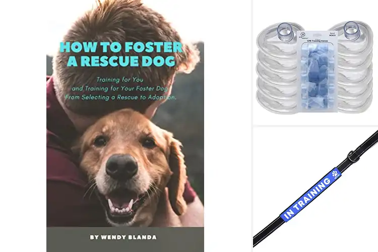 Detailed view of Best Rescue Training Resources: Thrive with Your Dog Today