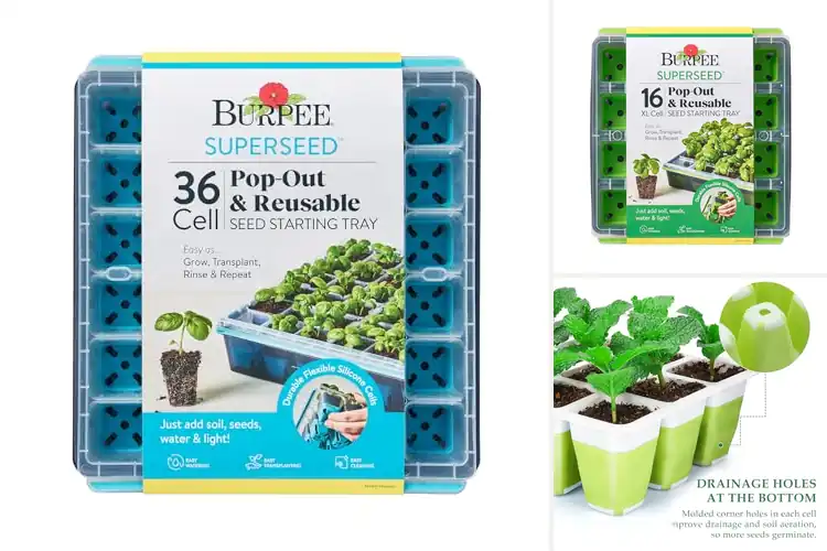 Detailed view of Best Reusable Seedling Trays