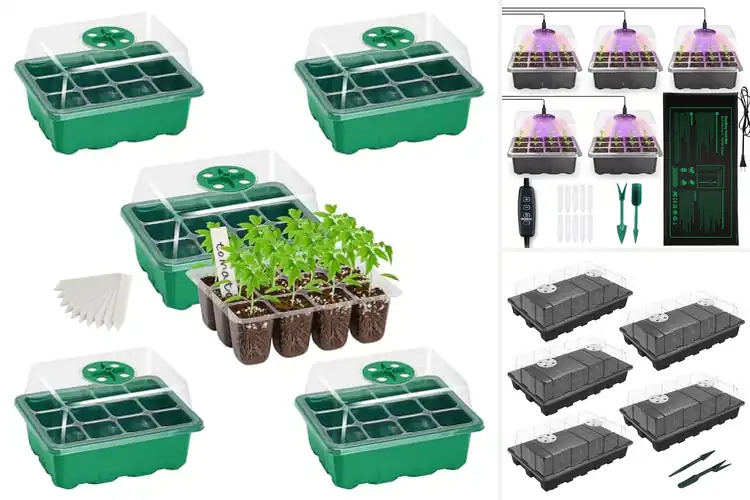 Detailed view of Best Seed Germination Kits