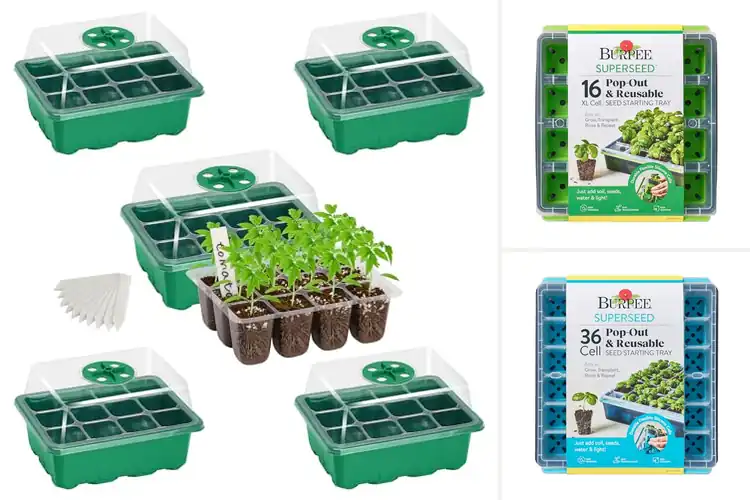 Detailed view of Best Seed Starter Kits