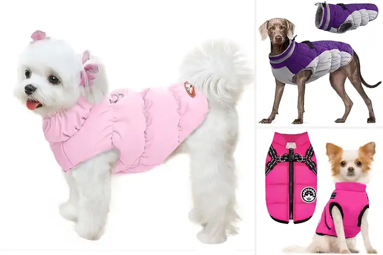 Detailed view of Best Waterproof Windproof Dog Snow Jacket