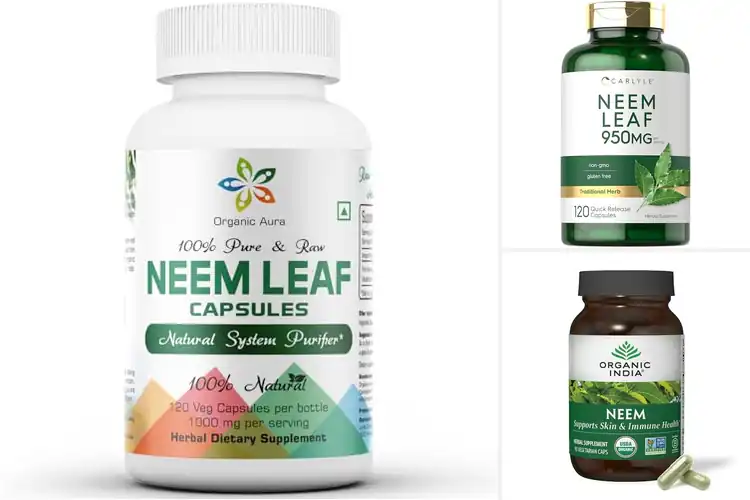 Detailed view of best Whole Spectrum Neem Leaf Capsules
